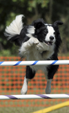 Epic Jumping
